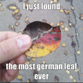Yay german leaf- anyone been to germany??