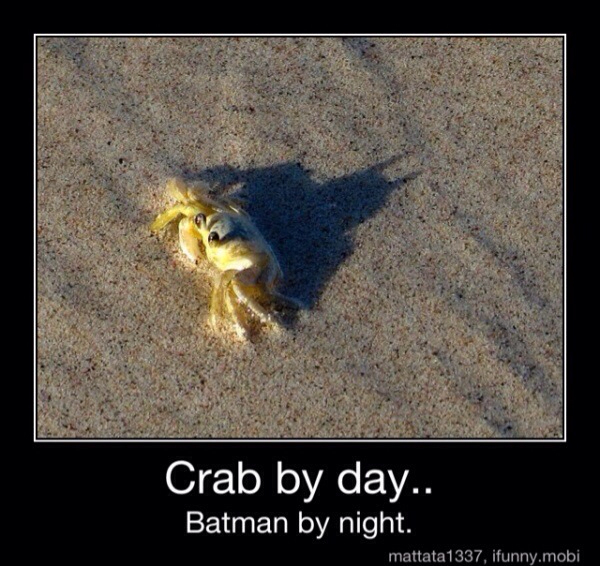 Crab man  - meme