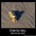 Crab man 