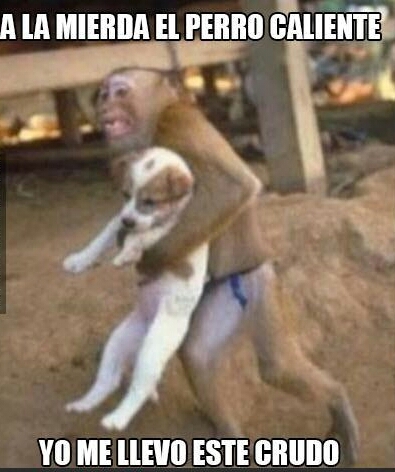 perro caliente meme subido por rc81 ) memedroid 532f8f9d20958 perro caliente meme subido por rc81 ) memedroid