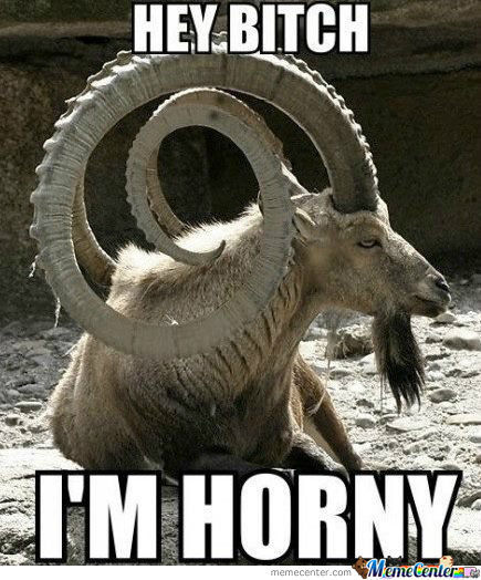 are you horny? - meme