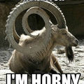 are you horny?