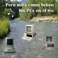 PCs in the river