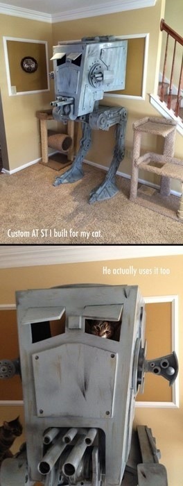 Cat playhouse level: Star Wars - meme
