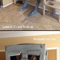 Cat playhouse level: Star Wars