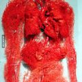 How many veins in our body
