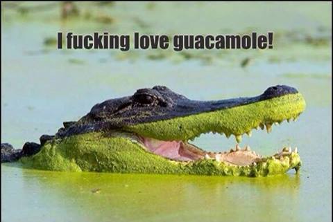 i fucking love guacamole! - meme