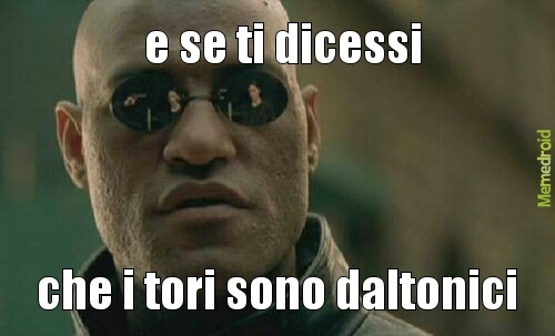 verooo - meme