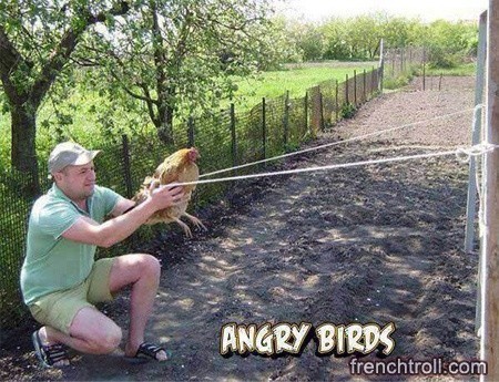 angry birds irl - meme