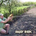 angry birds irl