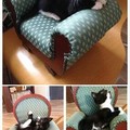 awwww, i want a kitten chair