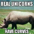 haters gonna hate on unicorns