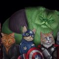 Cat avengers 