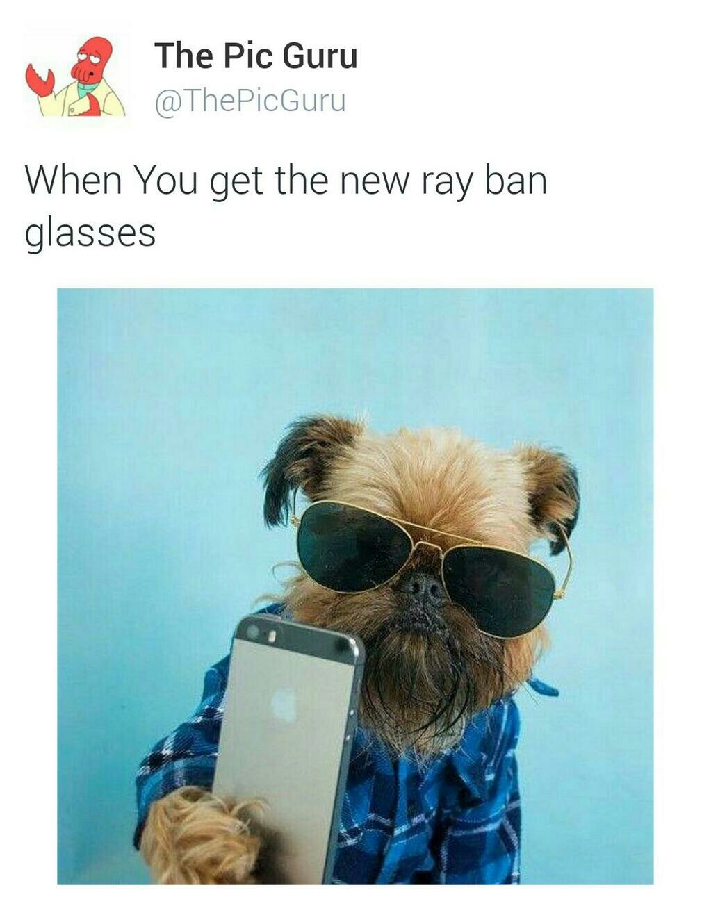 Ray ban - meme
