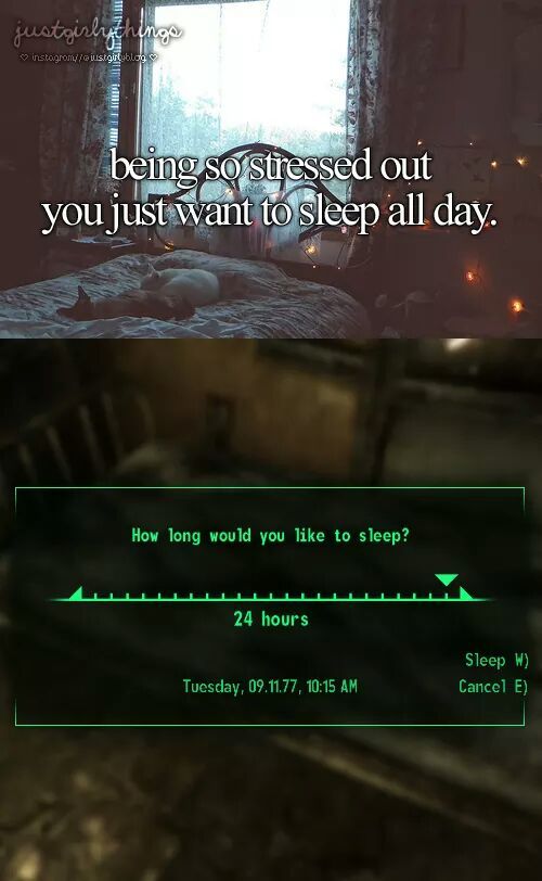 title loves Fallout.........and you - meme