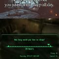 title loves Fallout.........and you