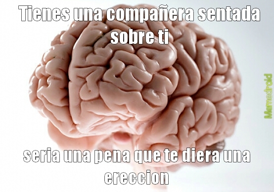 F*ck you cerebro (exito) - meme