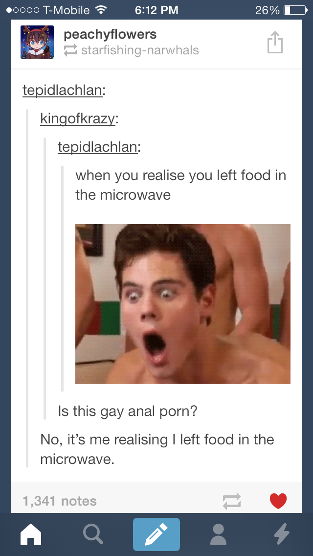 gay porn xD - meme