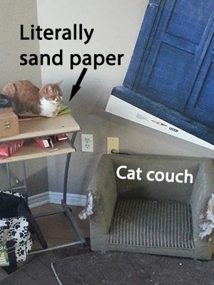 Cat logic - meme