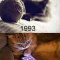 los gatos evoluciónan