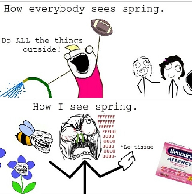 How I see Spring - meme