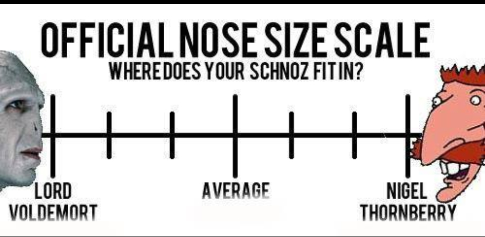 Where does YOUR nose fit? - meme