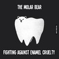 Molar bear (^.^)