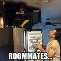 roommates