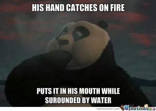 Kung Fu panda logic - meme