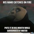 Kung Fu panda logic
