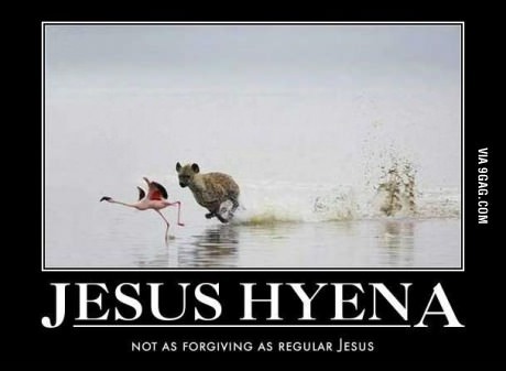 Jesus Hyena - meme