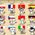 Say cat in your language ! :))