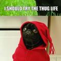 i didnt choose the thug life.......