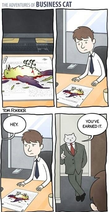 business cat.. - meme