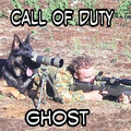 Cod ghost