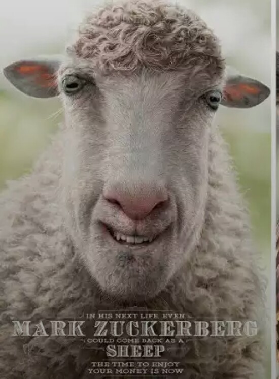 jajaja sheepbook - meme