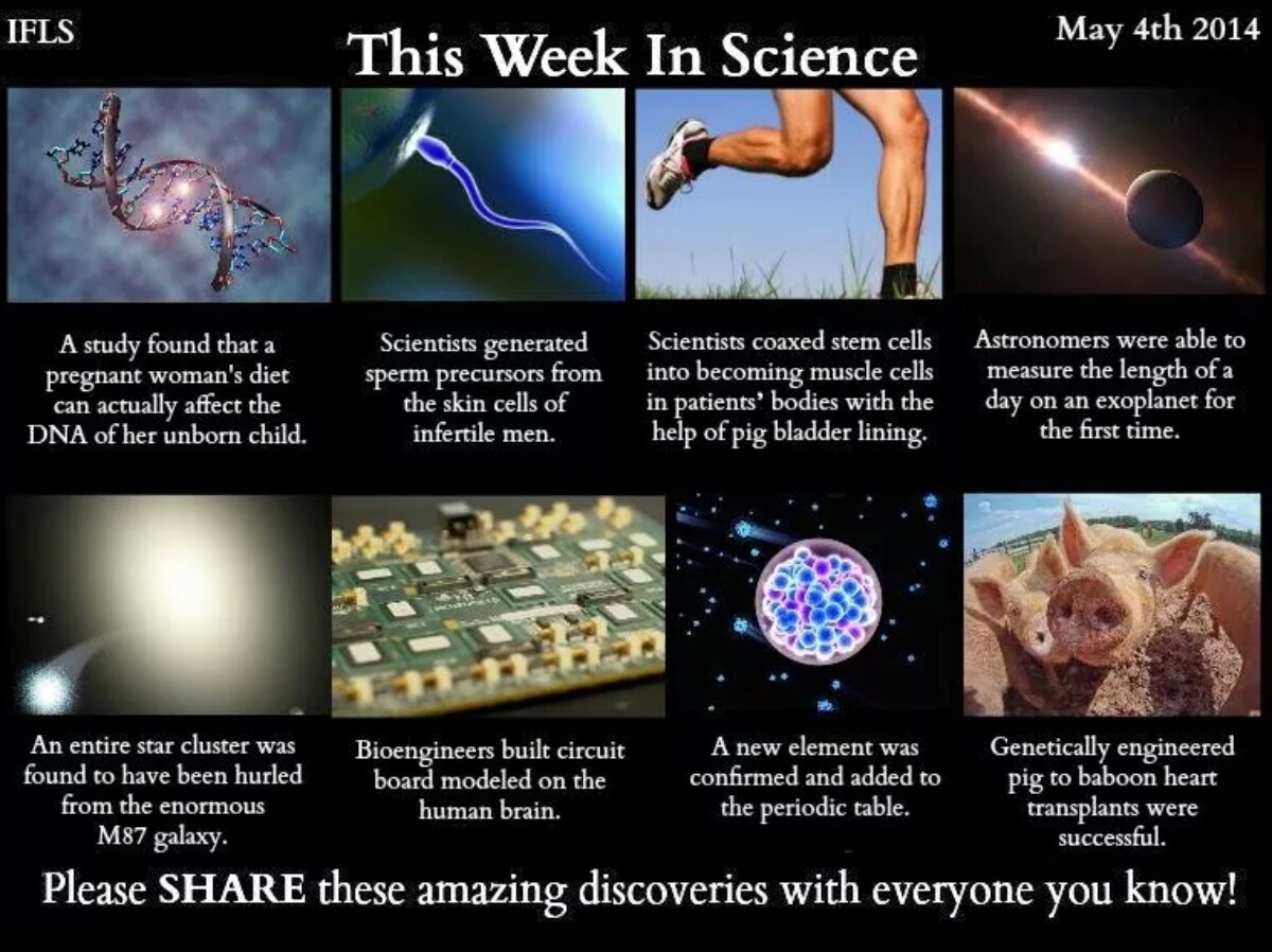 science! (again) - meme