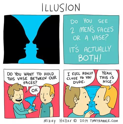 this illusion is a lie - meme