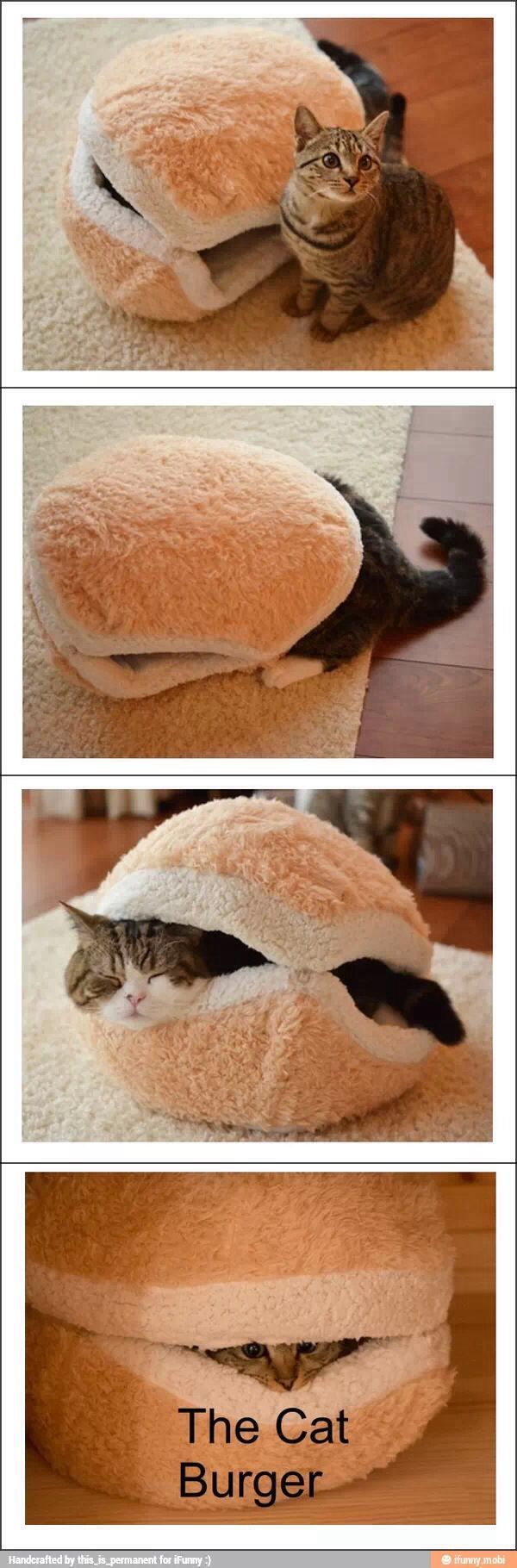 The One And Only Cat Burger - meme
