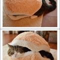 The One And Only Cat Burger
