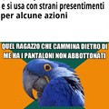 xiGiorgio2000x - UTILIZZO CORRETTO - Paranoid Parrot