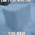 Minecraft in real life