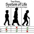 systems of life