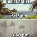 Damnit Florida