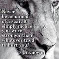 never ..