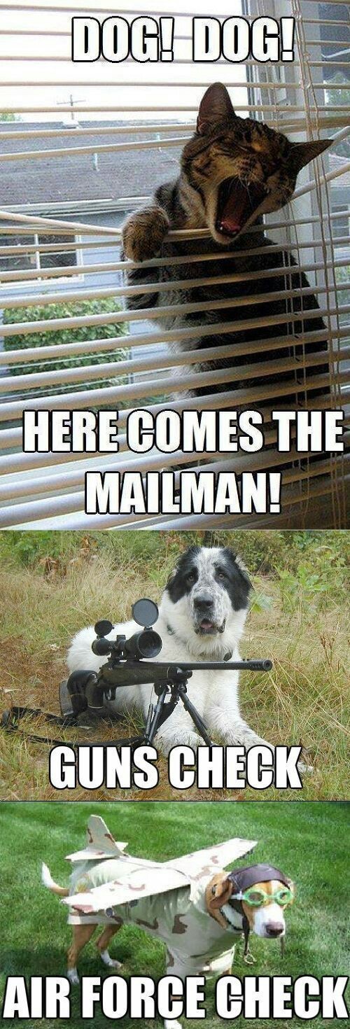 mailman - meme