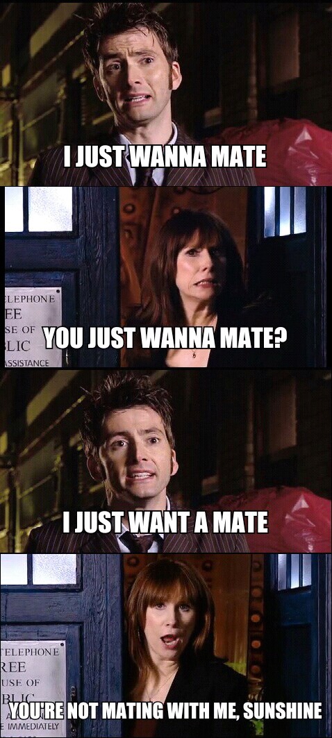 best companion in doctor who? - meme