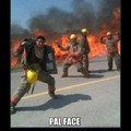 pal face