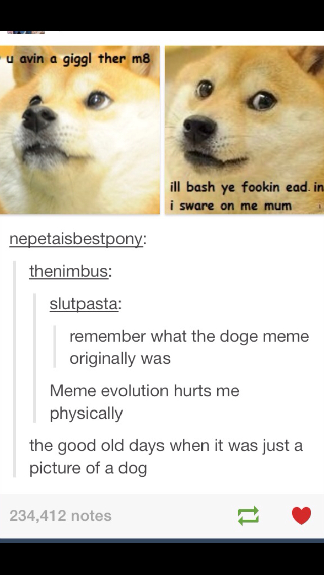 Meme evolution 