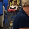 Walmart baby has seen some shit